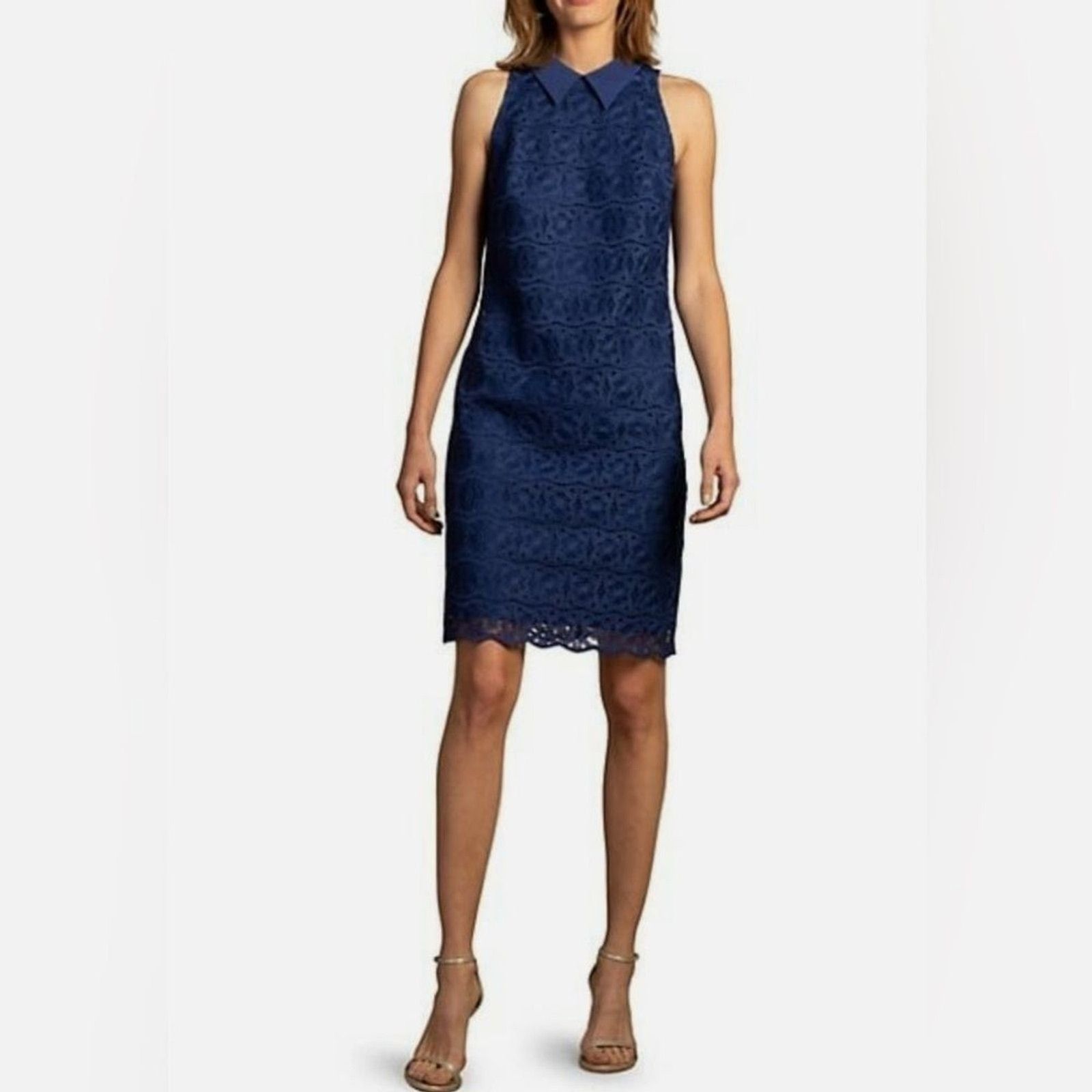 Nwt Trina Turk Cats Cradle Sleeveless Lace Dress Size 12 Blue Wedding Party